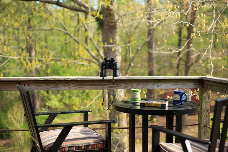 Tiffanys Bed & Breakfast image 4