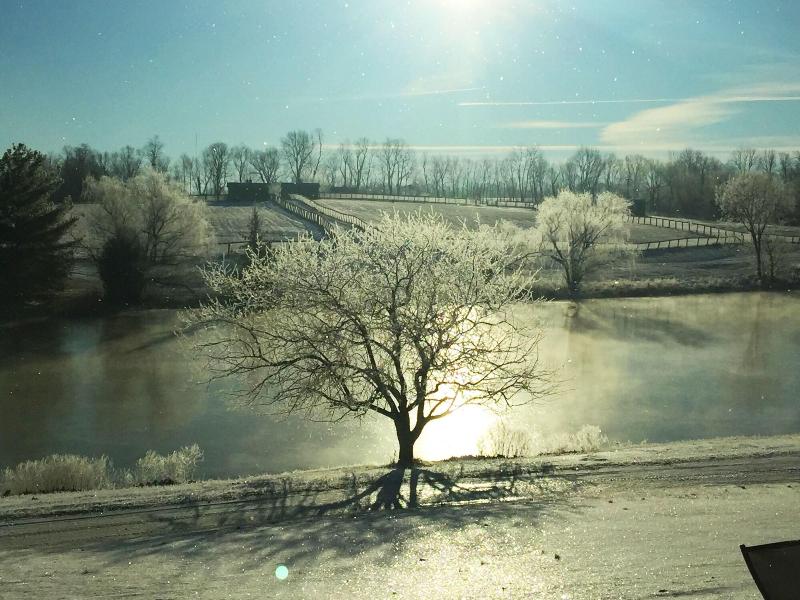 The B & B at Queenslake image