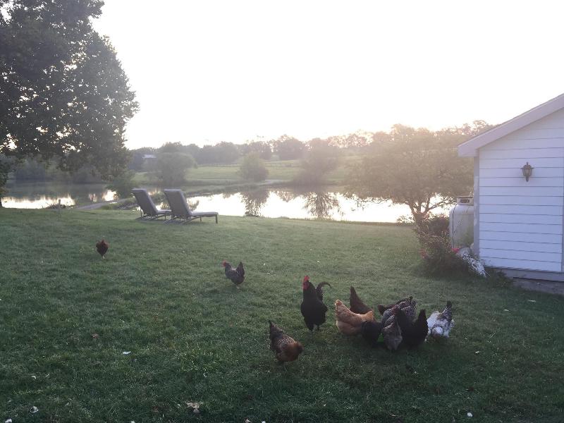 The B & B at Queenslake image
