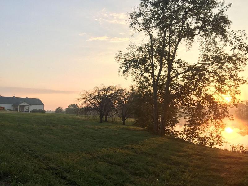 The B & B at Queenslake image