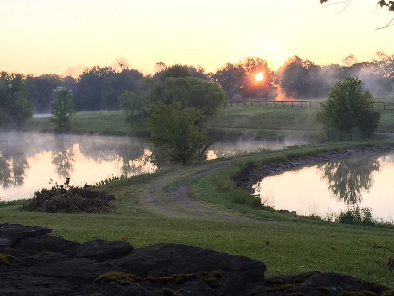 The B & B at Queenslake image