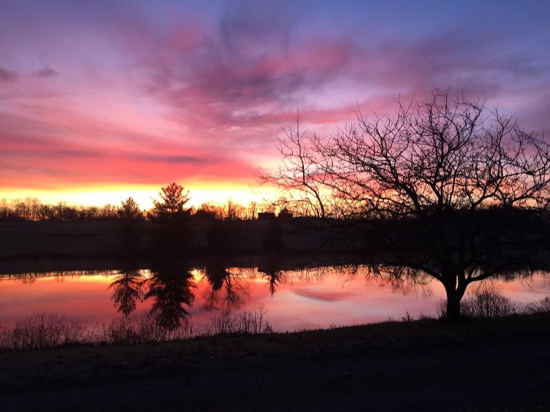 The B & B at Queenslake image