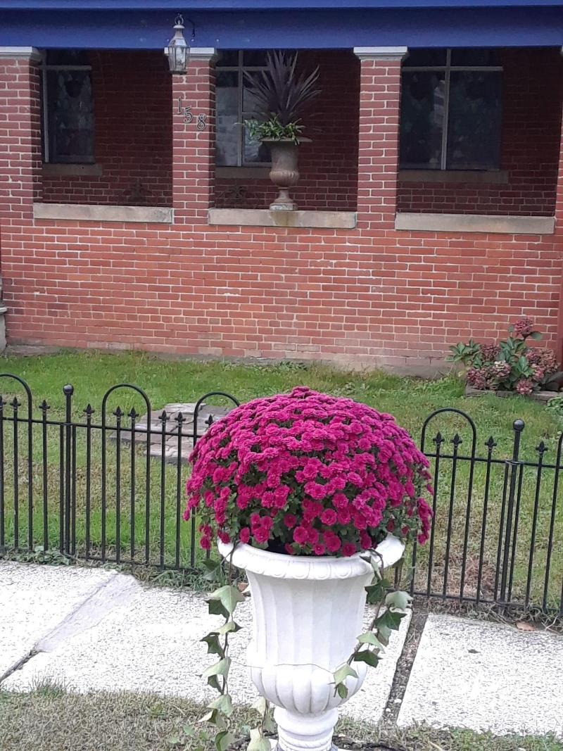 The Old Parsonage Bed And Breakfast image