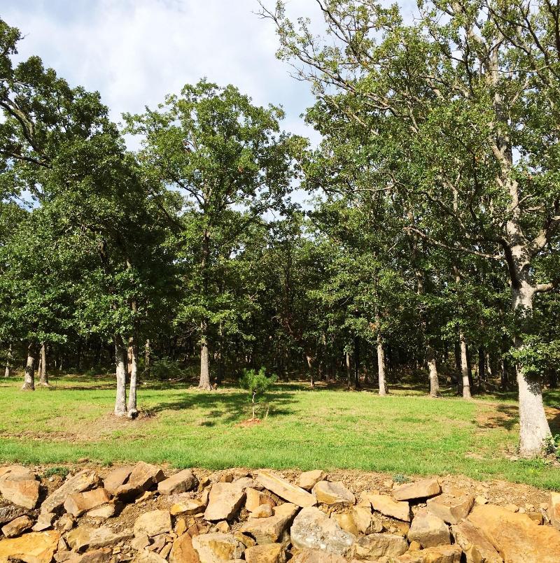 Bardew Valley Inn