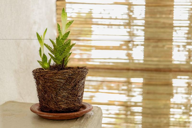 Agrado Guest House image