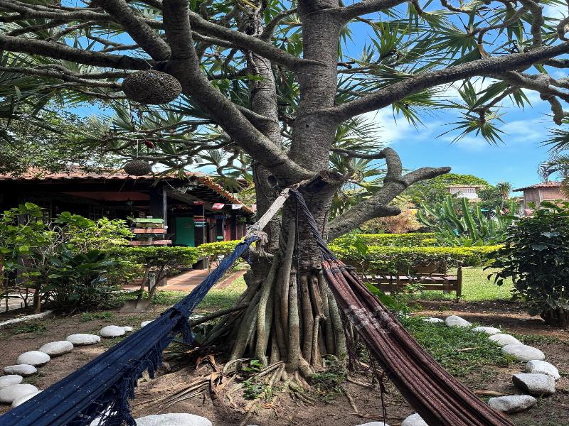Numa Boa Hostel image