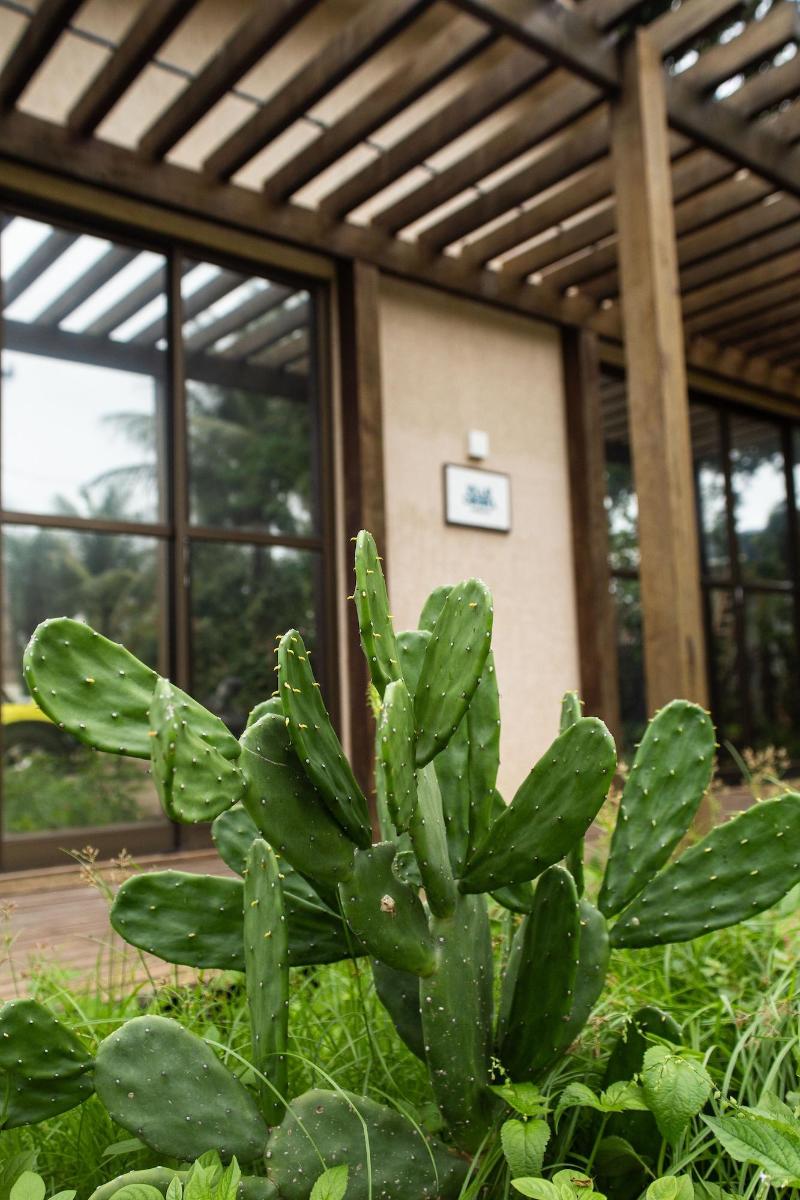 Villa Cordel — photo 3