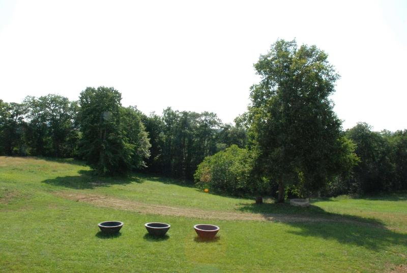 Château de Maumusson image