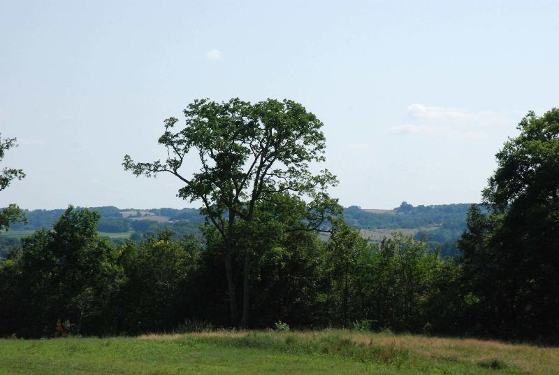 Château de Maumusson image