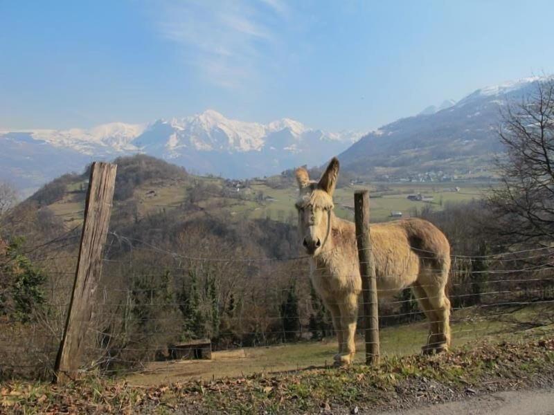 Les Gerbes image