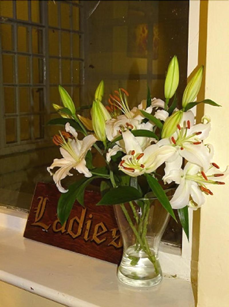 Cann Office Hotel image
