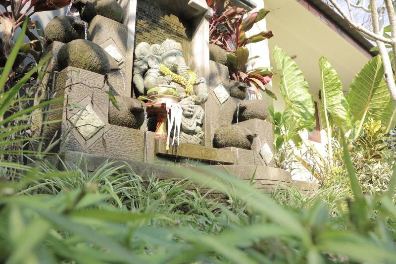 Doni House & Villa image