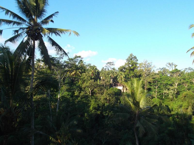 Doni House & Villa image