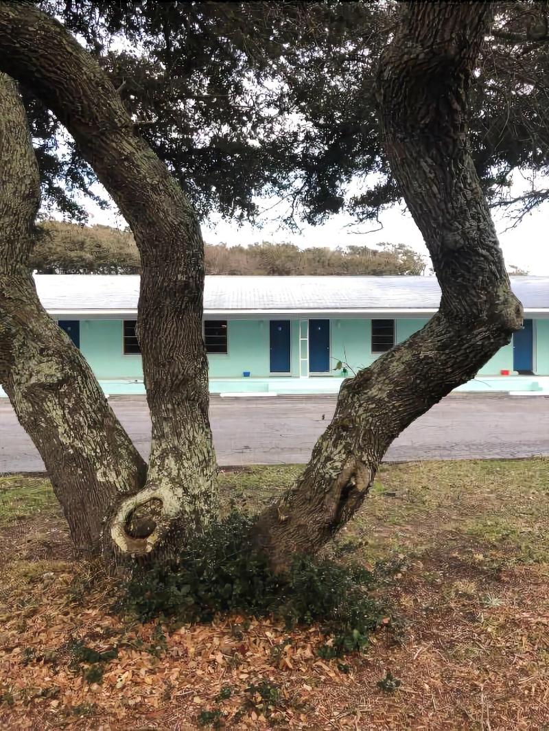 Swell Motel image