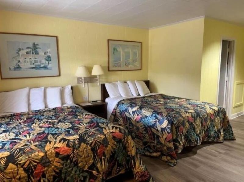 Swell Motel image