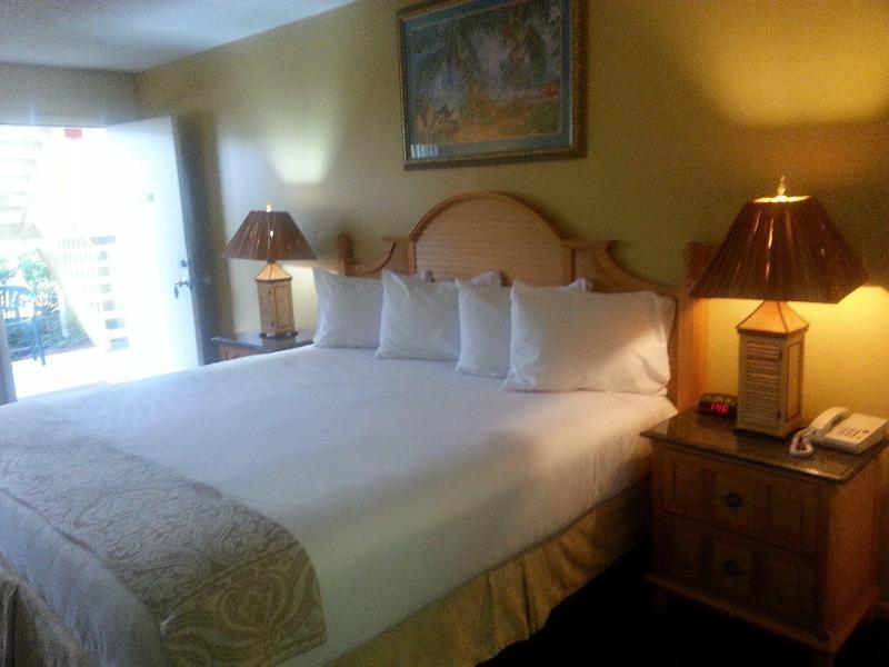 The Central Motel image