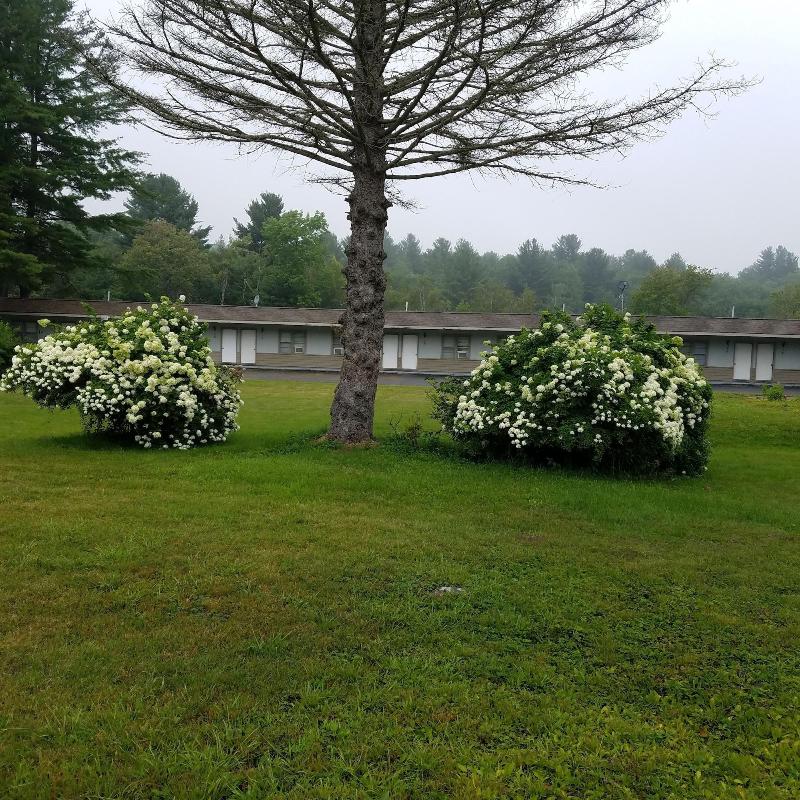 Becket Motel image