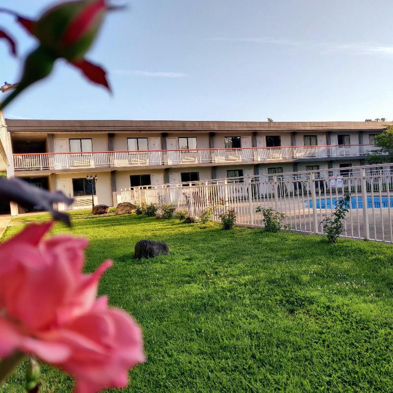 Sprucewood Inn image