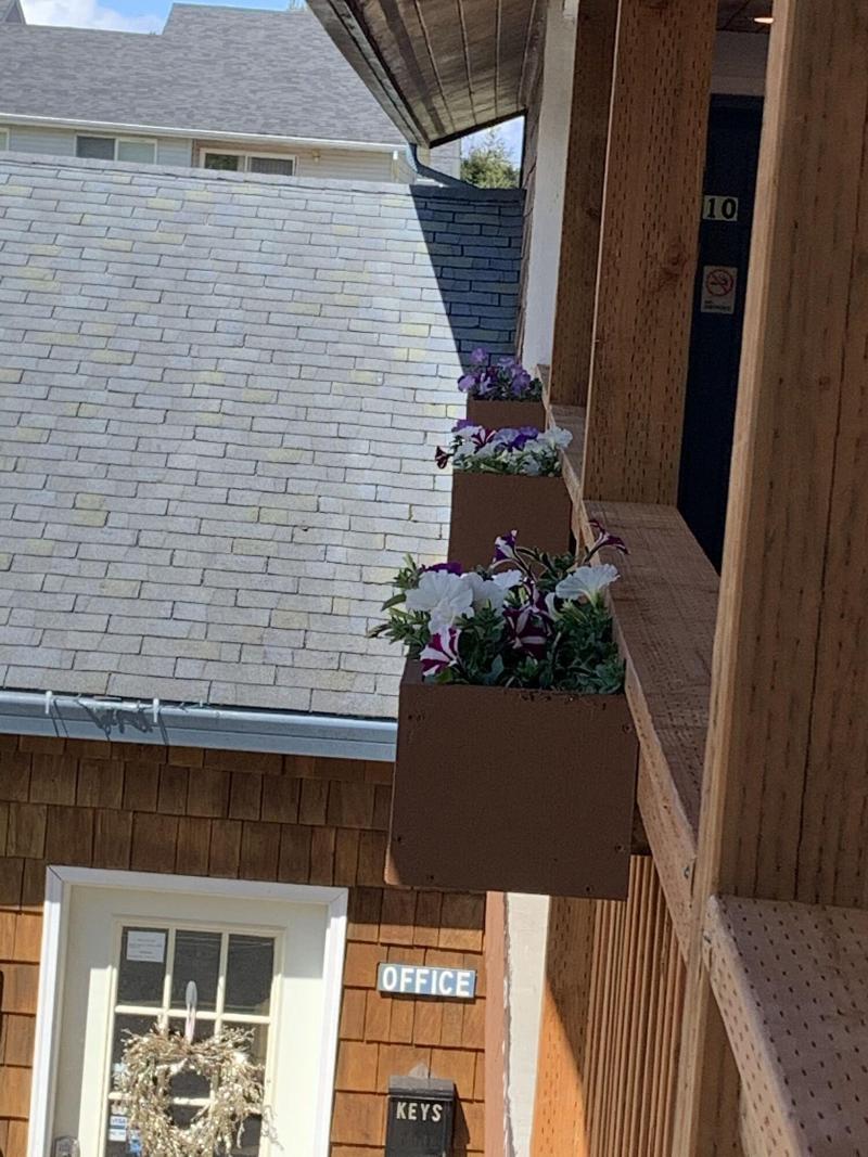 South Jetty Inn image