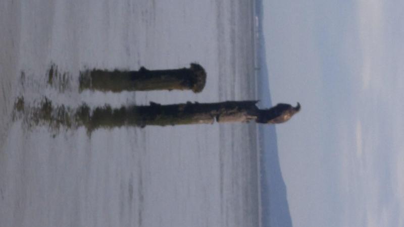 South Jetty Inn image