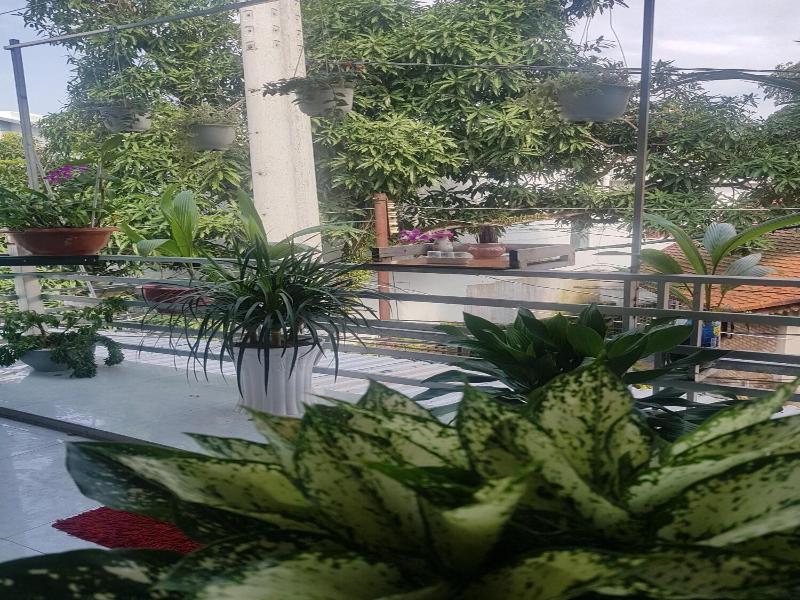 Tai Tri Guesthouse