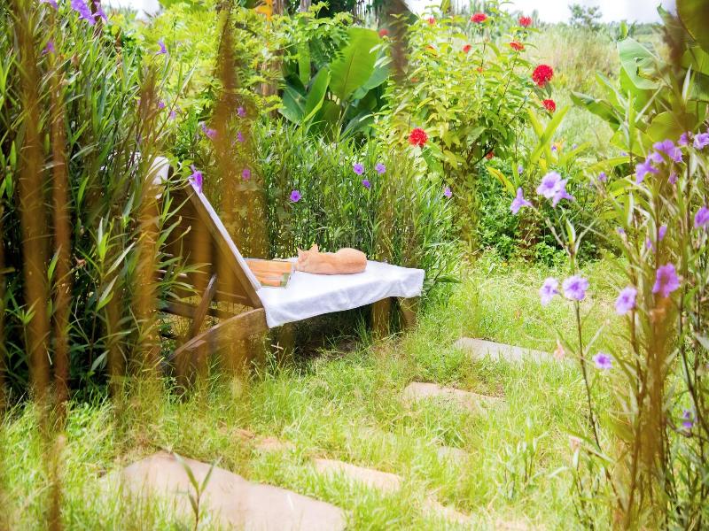 Calm House Hotel Hoi An image