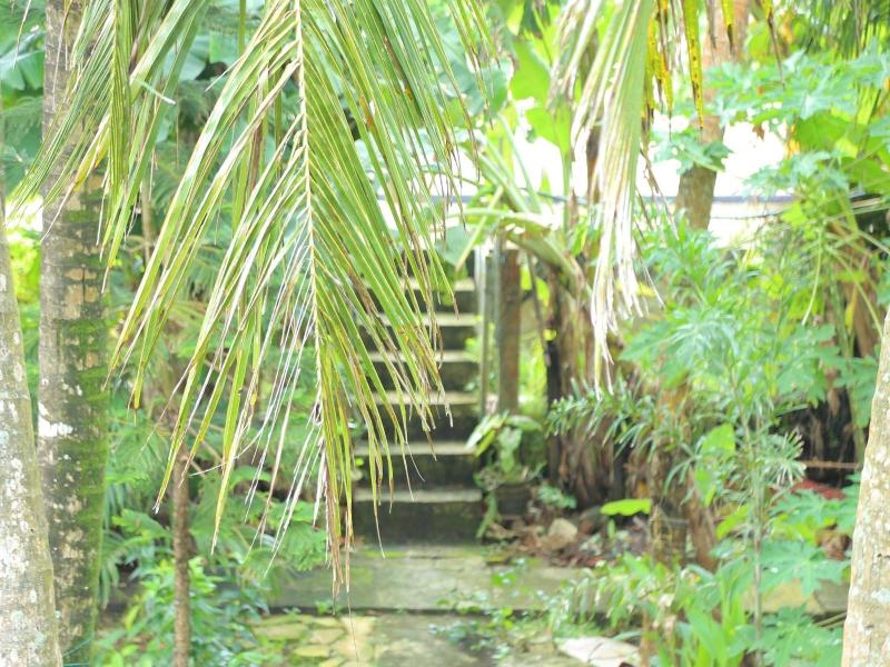 Osanda Guest image