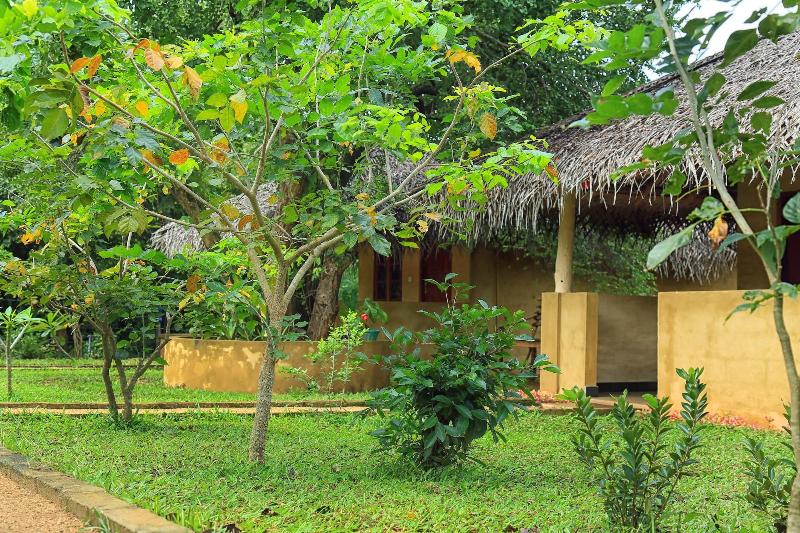 Niyagala Lodge image