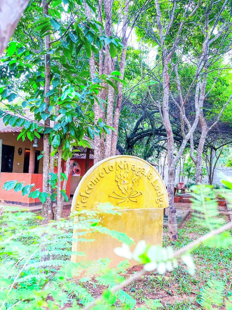 Niyagala Lodge image