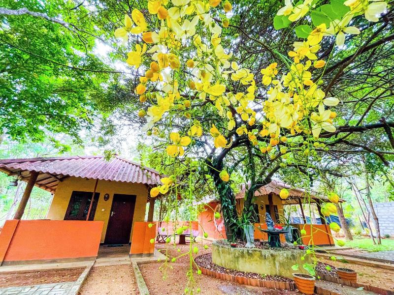 Niyagala Lodge image