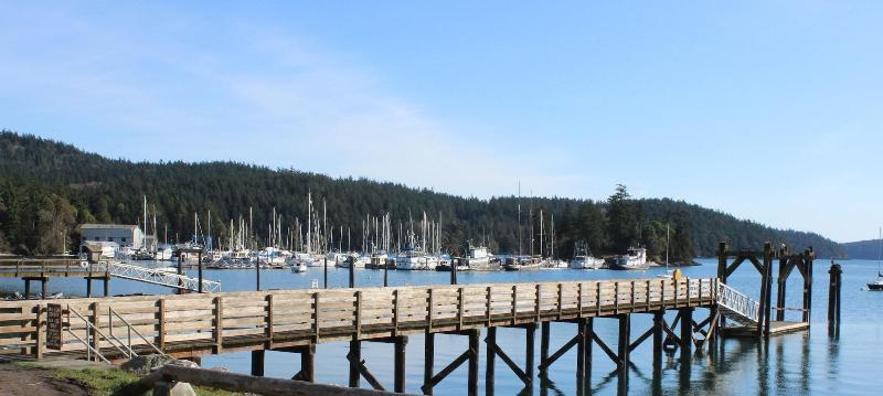 Kingfish At West Sound image