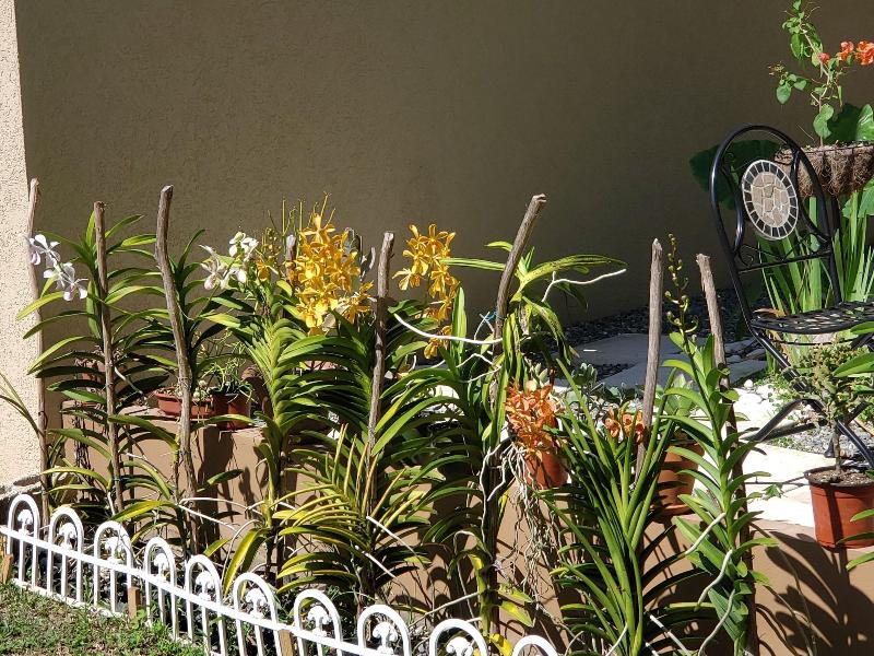 Millsborough Bnb image