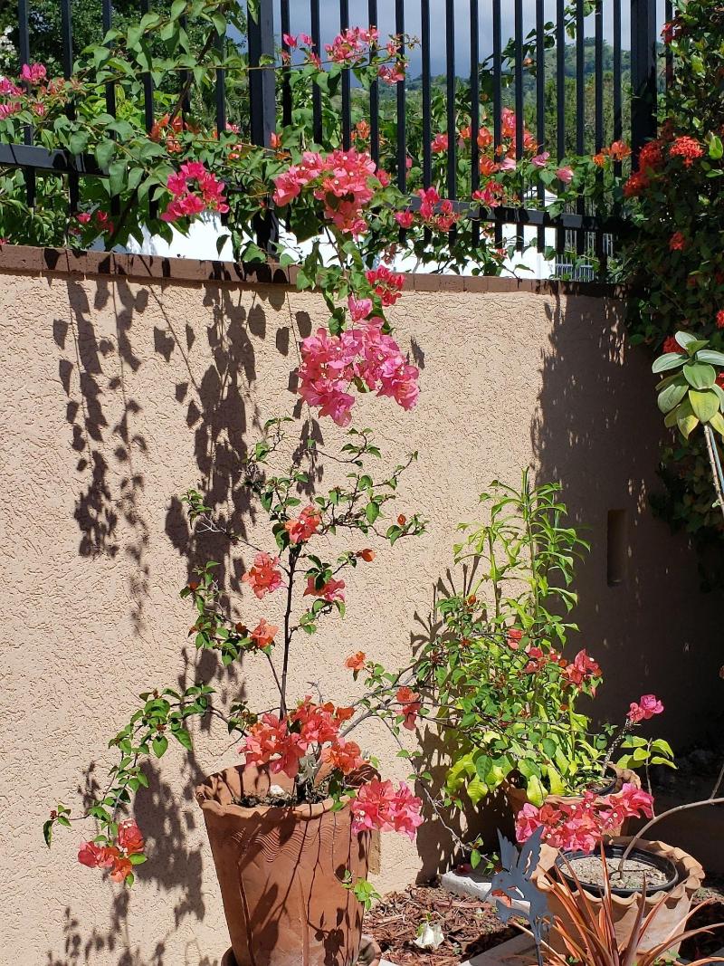 Millsborough Bnb image