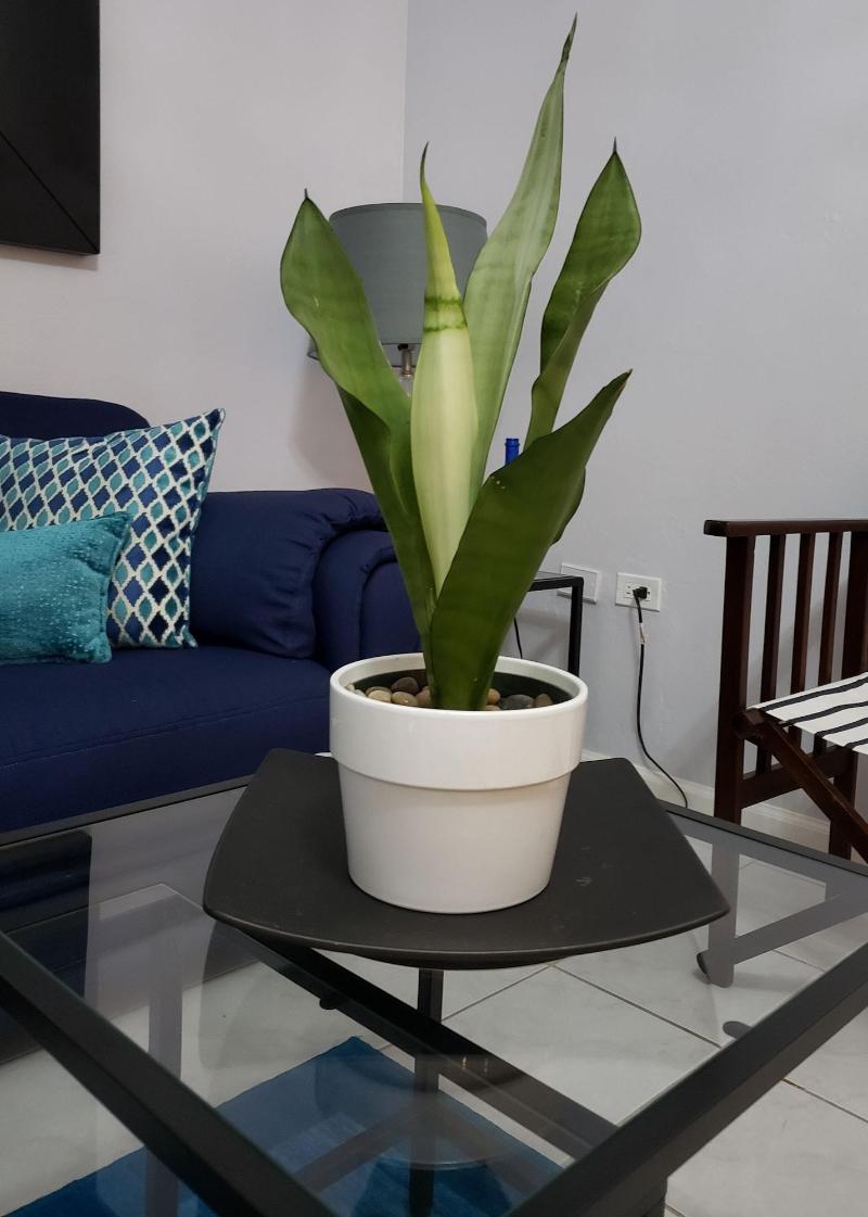 Millsborough Bnb image