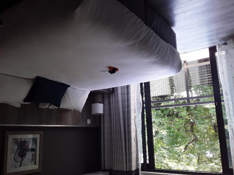 La Orchard Hotel image