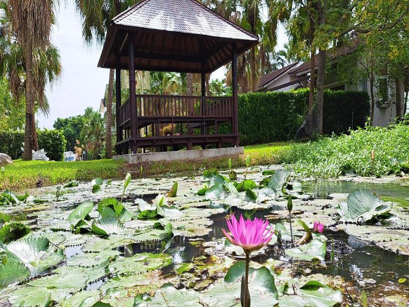 The House Of Water image