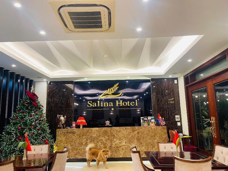 Salina Hotel image