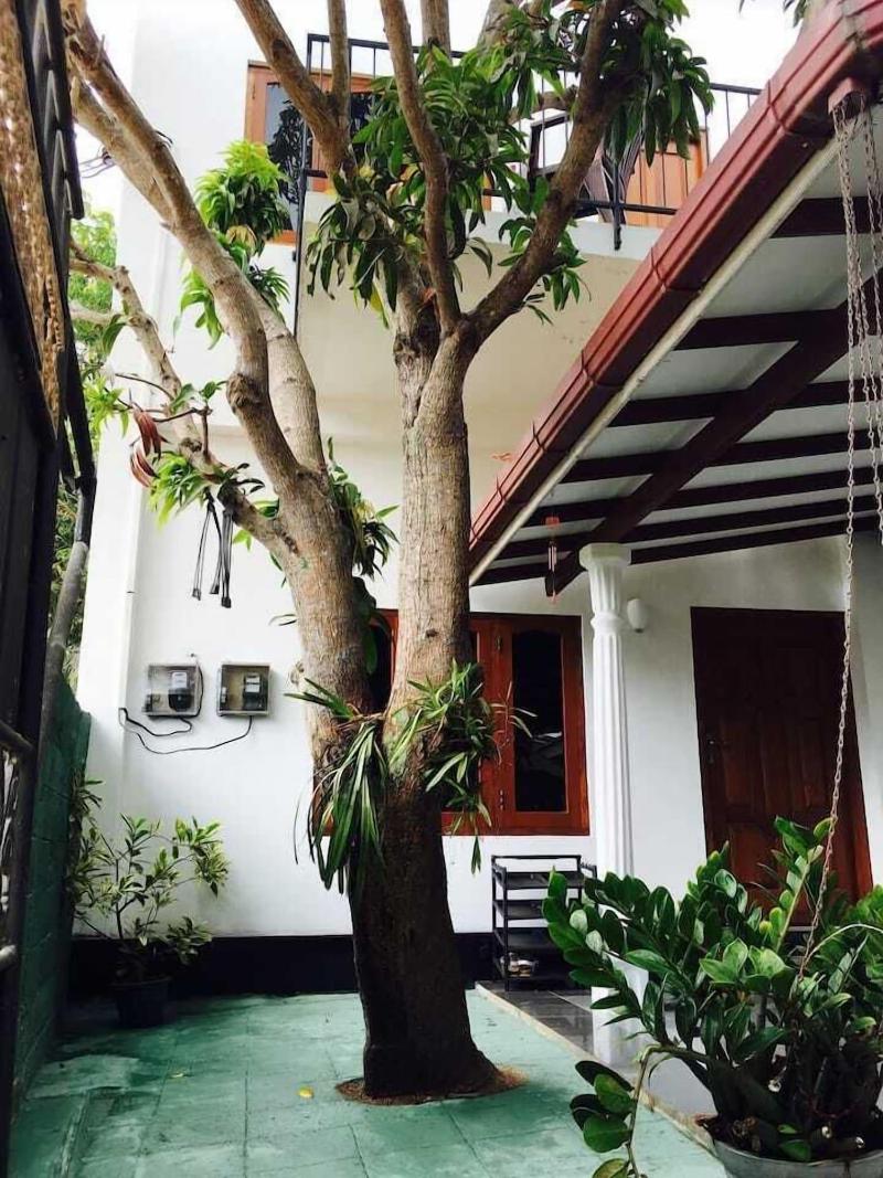 House Of Seya image