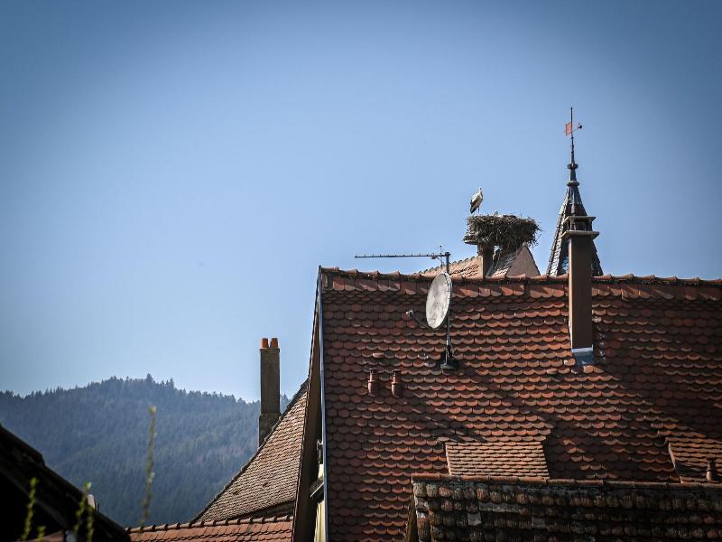 Hameau D'eguisheim image