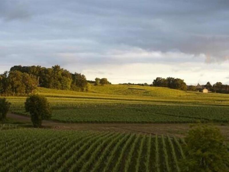 Château la Rose Perriere image