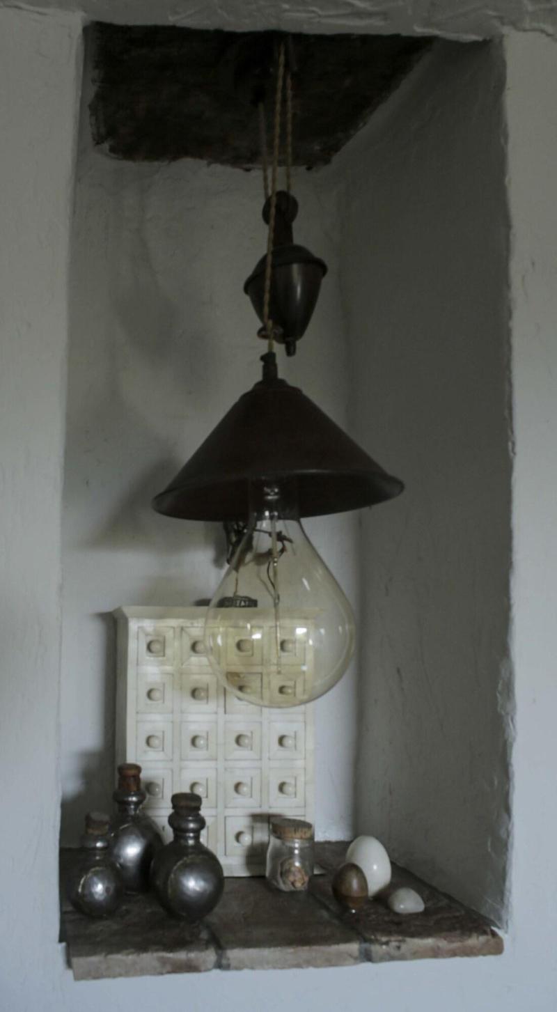 La Maison Aux Bonsaïs image
