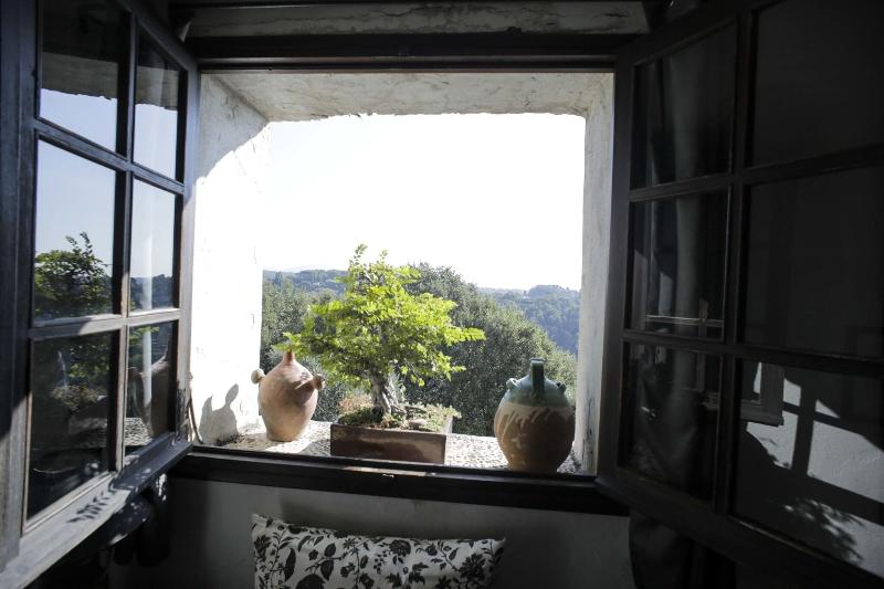 La Maison Aux Bonsaïs image