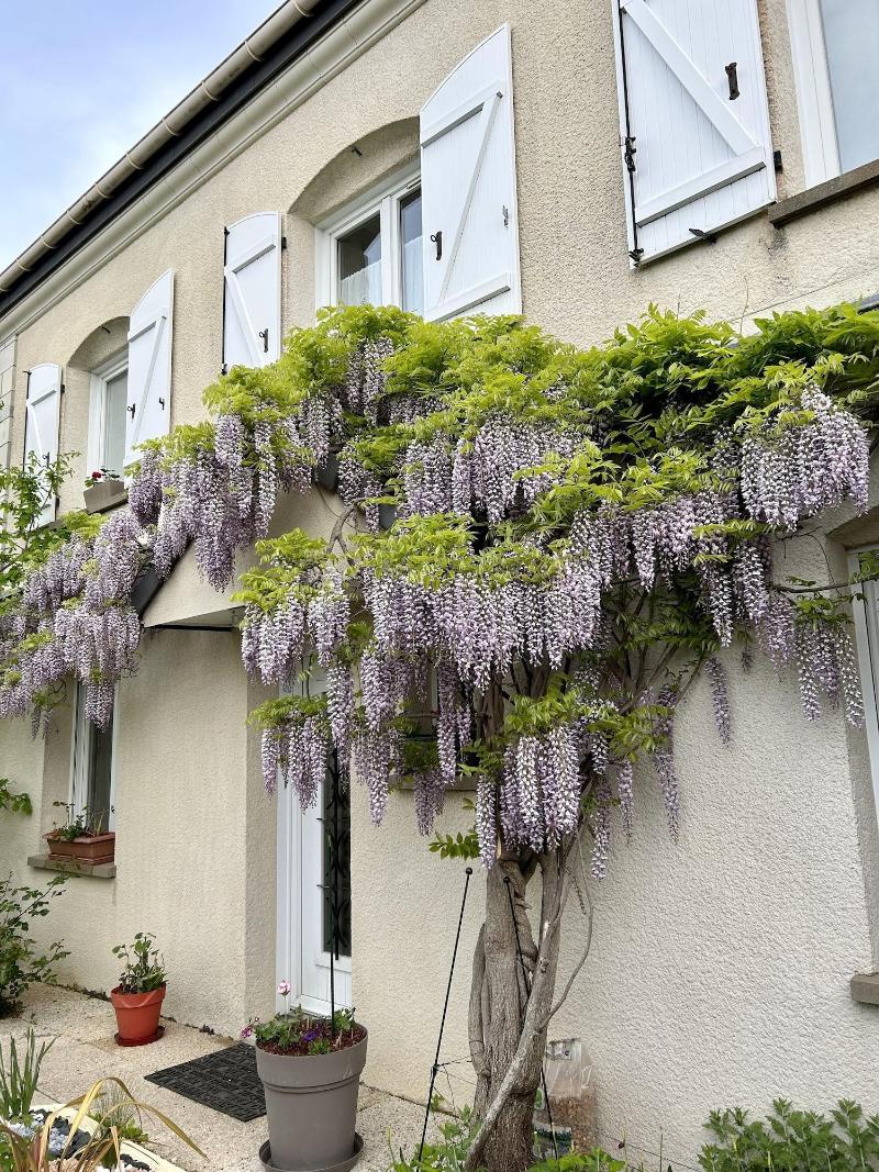 Les Suites Champenoises image