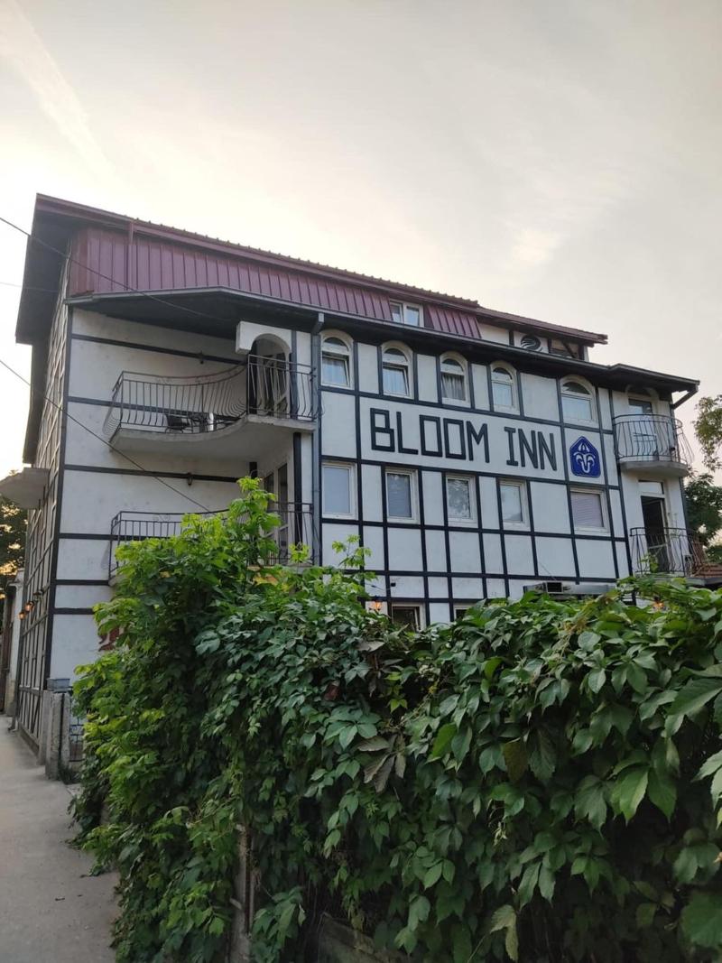 Bloom Inn image