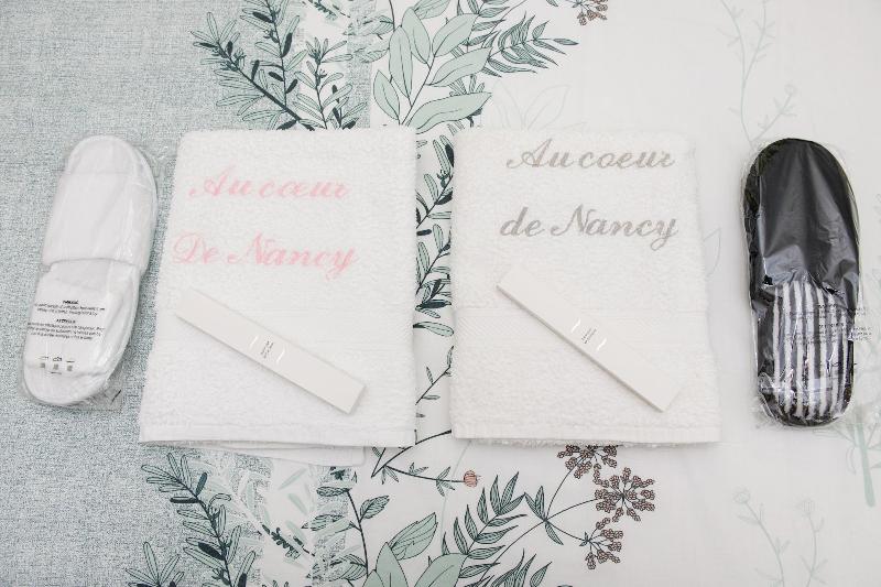 Au Coeur De Nancy Bnb image