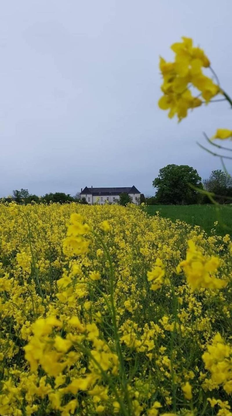 Château de Buchy image
