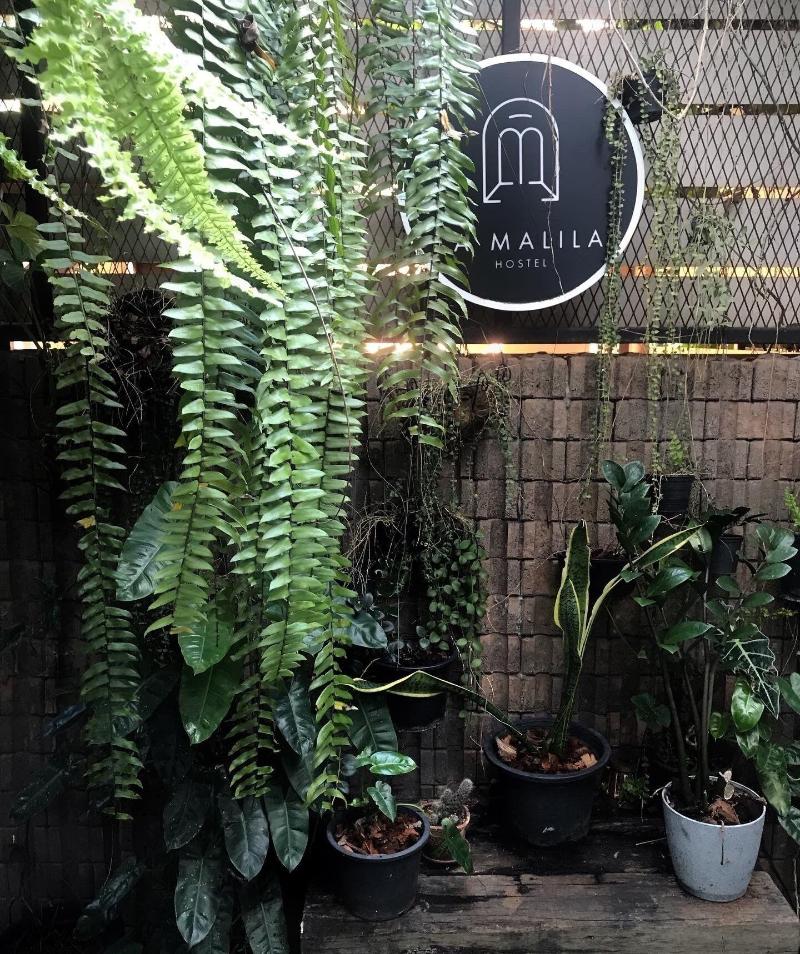 La Malila Hostel image