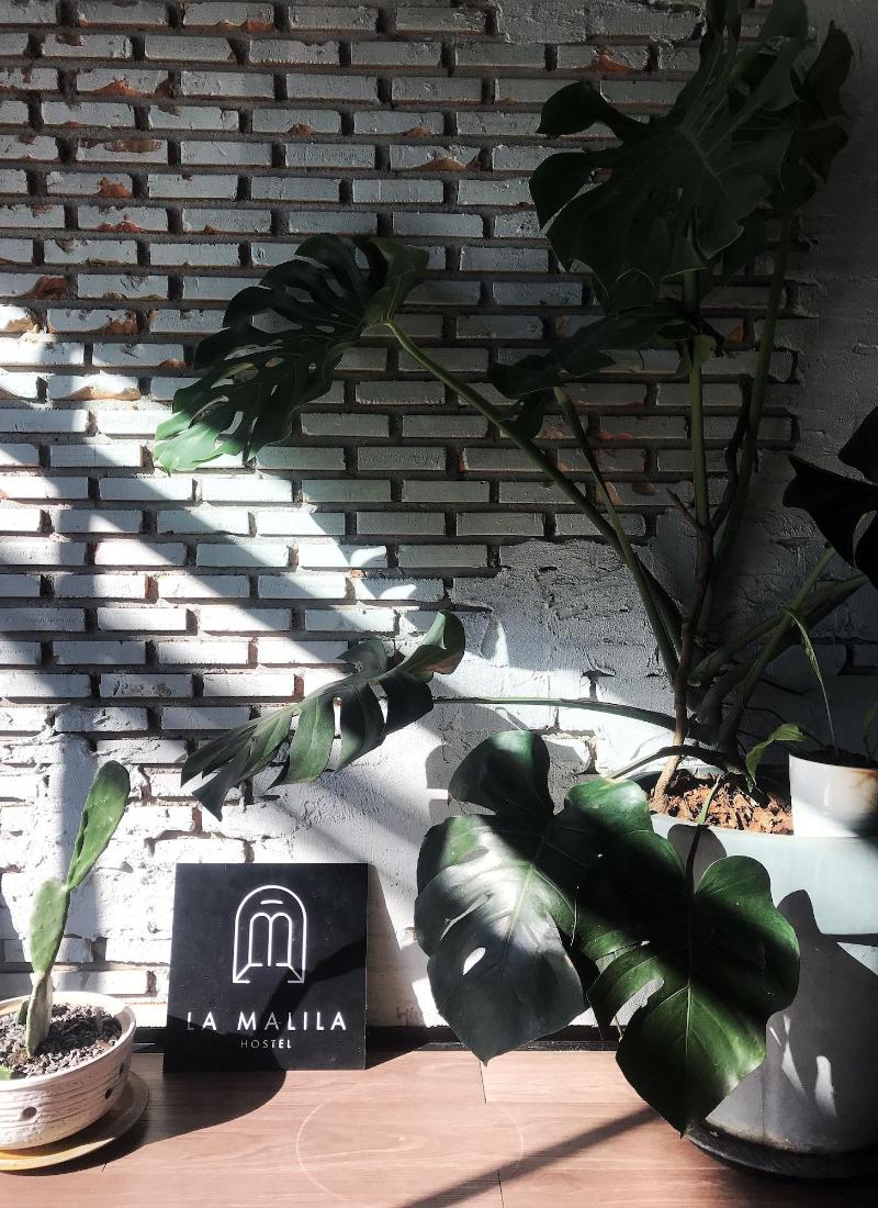 La Malila Hostel image