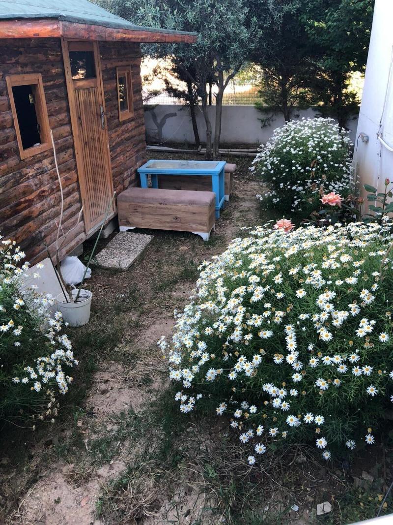 Hotel Antonio image
