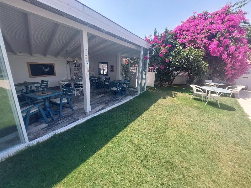 Grandma's Garden — general view